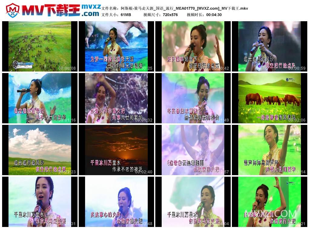 阿斯根-策马走天涯_国语_流行_MEA01770